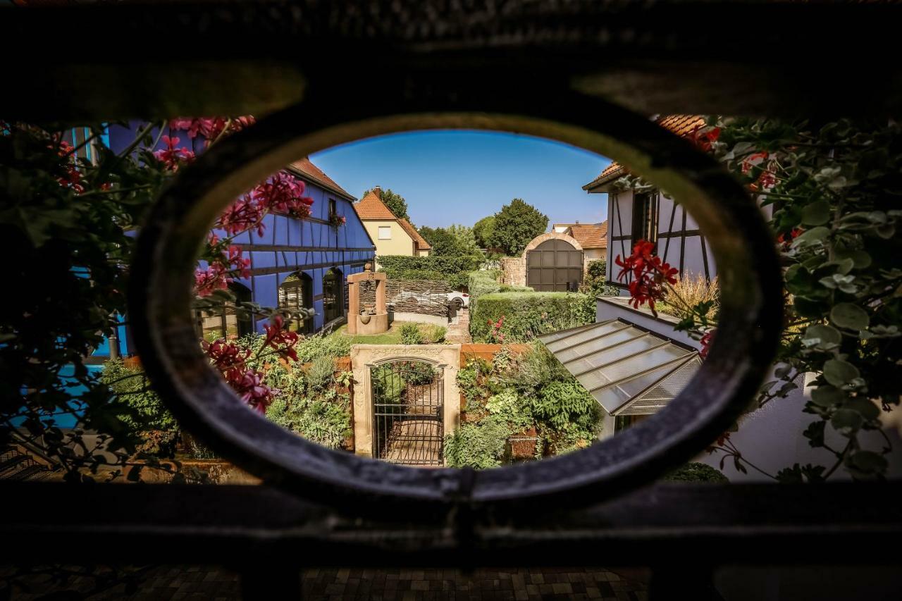 Appartamento Les Granges De Jadis D'Alsace Holtzwihr Esterno foto